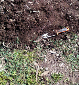Here's where you can see my weeding progress on the paths. The upper part is after my work; the lower part isn't even the worst I had to deal with (there were sections where a neighbor's weeds had spilled out and grown a foot high).